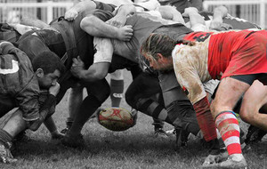 entrainement séniors